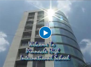 How do you access school grades online with Pinnacle?